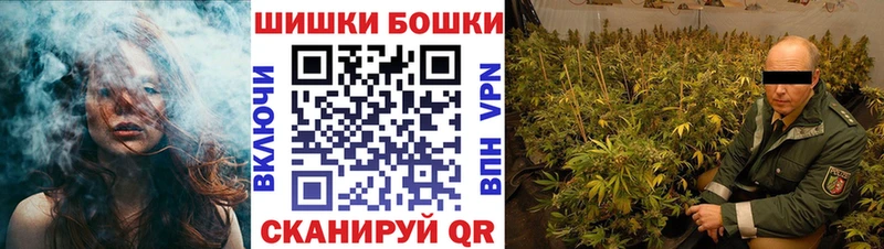Магазины продажи наркотиков Гдов Галлюциногенные грибы  Меф  Каннабис  Alpha PVP  Амфетамин 